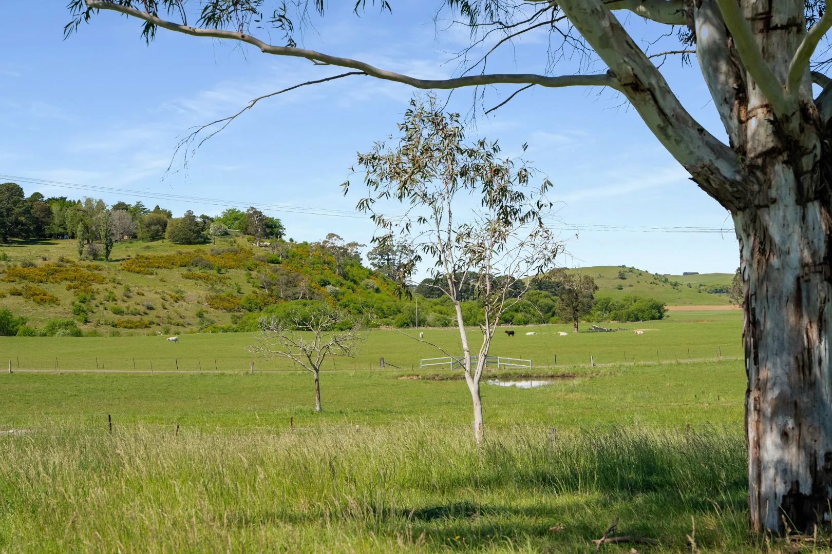 Additional image 39 of 7361 Illawarra Highway, Sutton Forest NSW 2577
