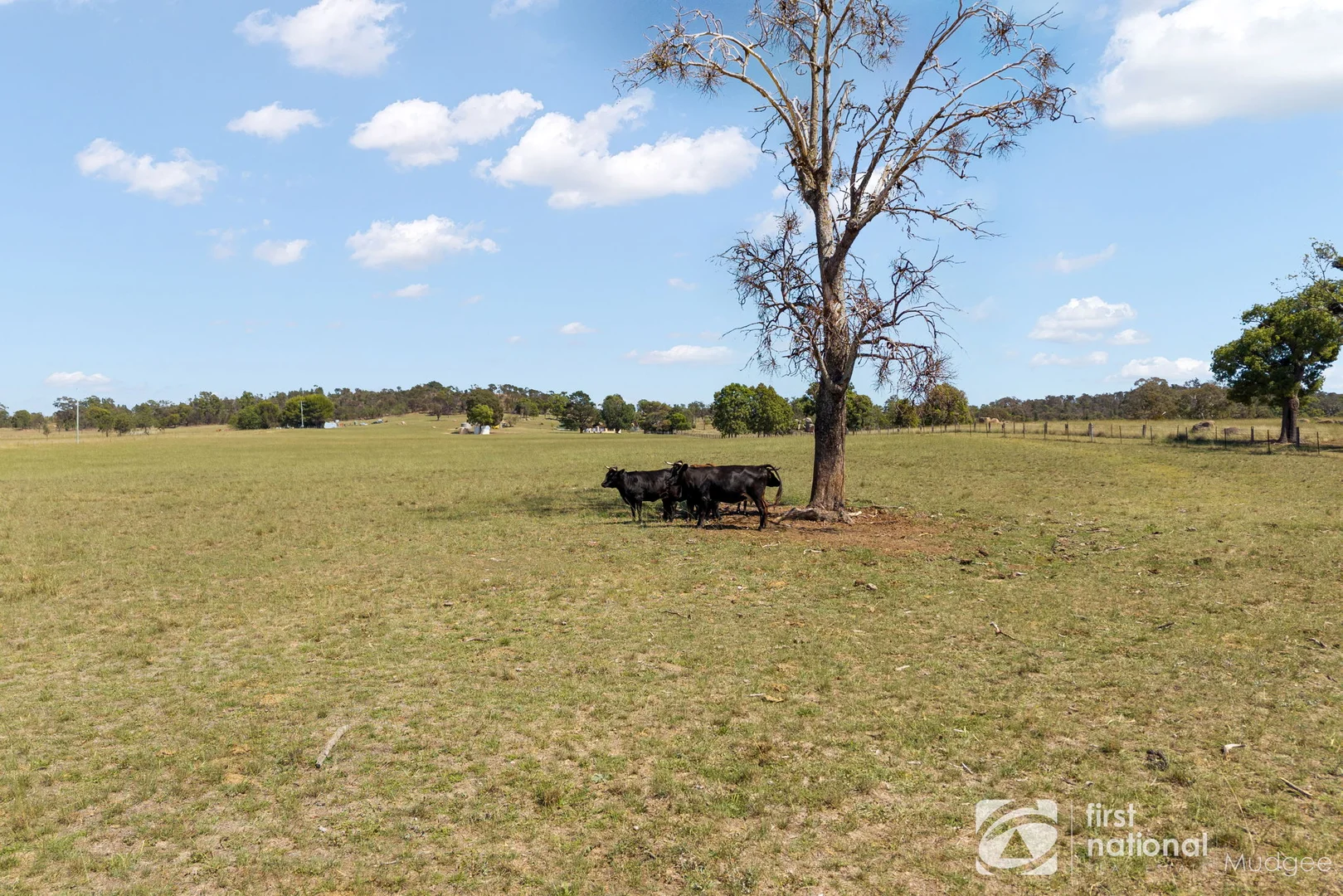 Additional image 10 of 257 Winchester Crescent, Mudgee NSW 2850