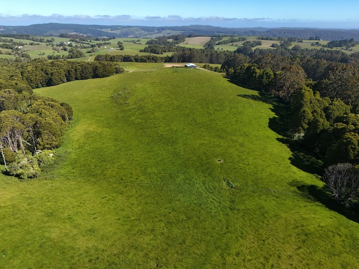 Additional image 13 of 125 Beech Forest - Lavers Hill Road, Beech Forest VIC 3237