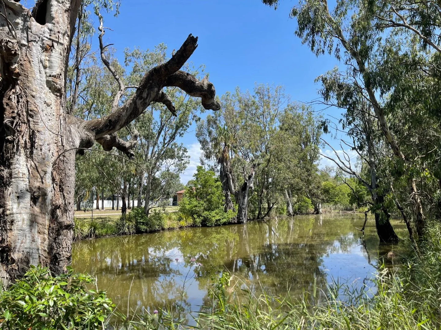 Additional image 15 of 4 Paxton Street, Denman NSW 2328