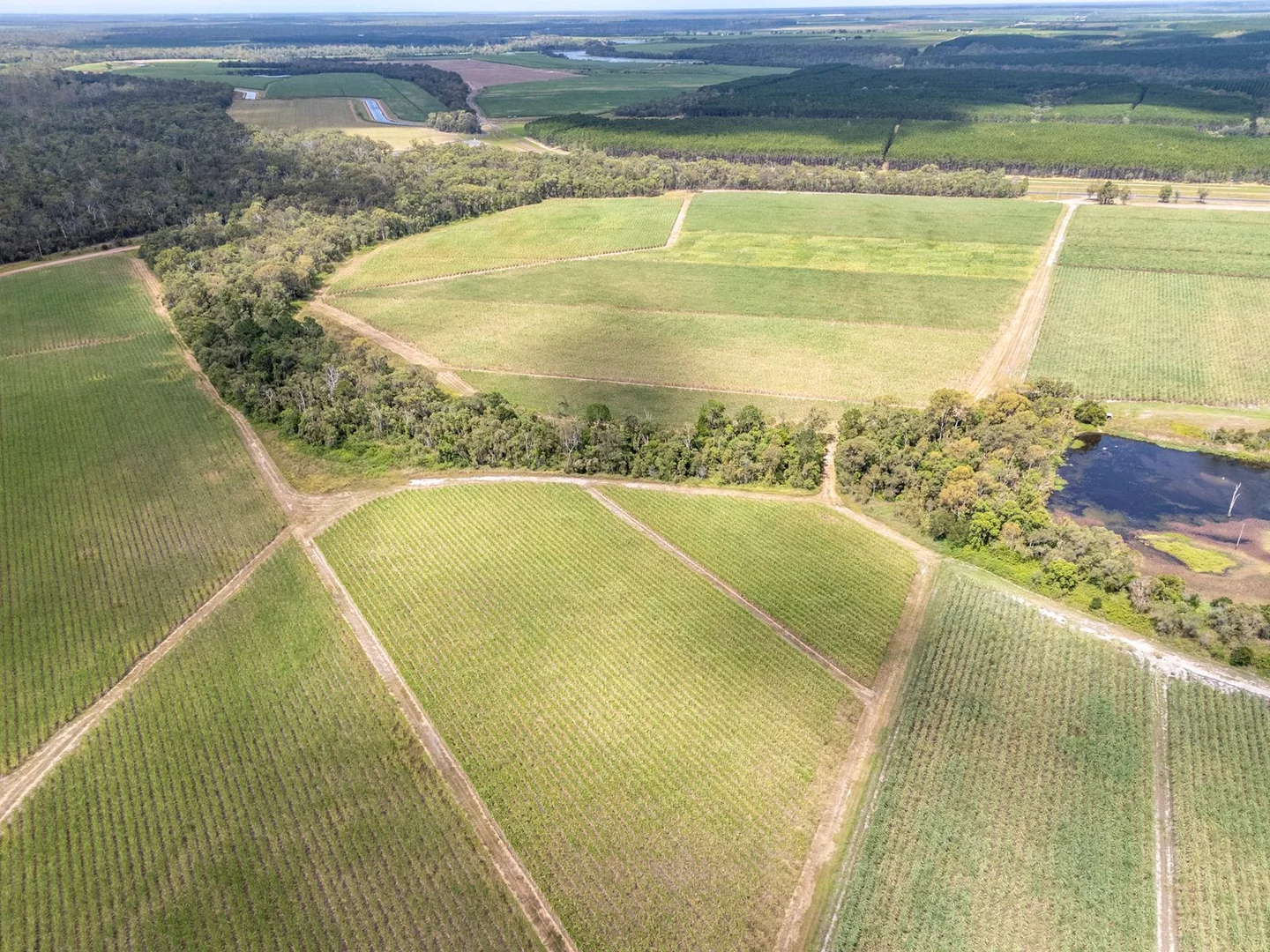 Additional image 6 of 3392 Childers Road, Gregory River QLD 4660