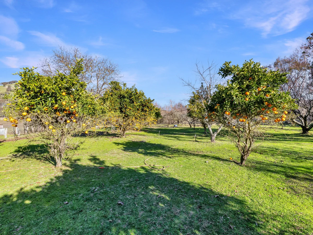 Additional image 19 of 14 Gilbert Street, Tallangatta VIC 3700