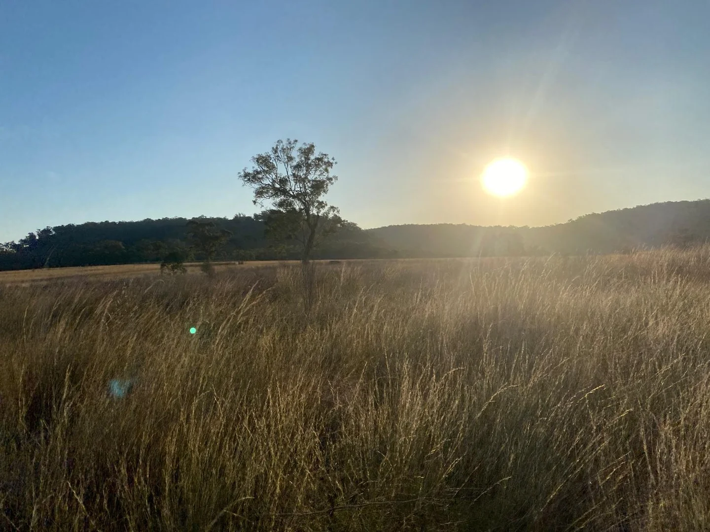 Additional image 18 of Lot 18 Hulks Road, Merriwa NSW 2329