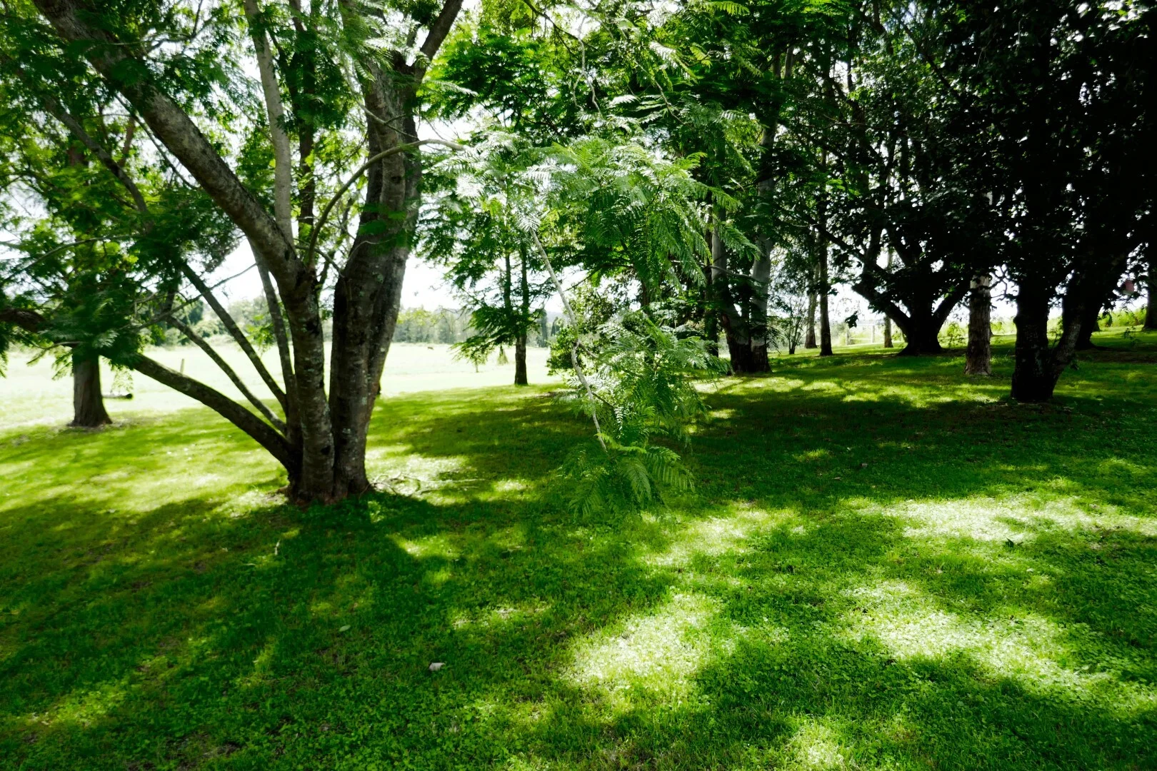 Additional image 20 of 495 Upper Stratheden Road, Kyogle NSW 2474