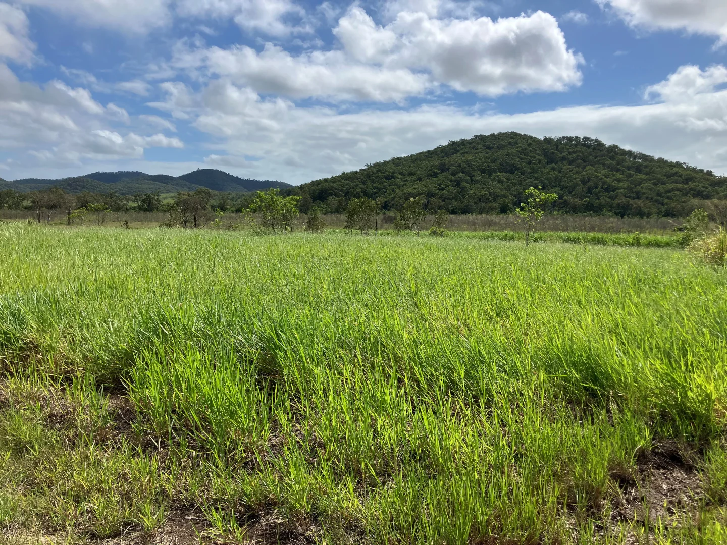 Additional image 2 of Sutherlands Road, Pindi Pindi QLD 4798