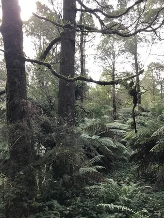 Additional image 5 of 2 Murchison Highway, Rosebery TAS 7470