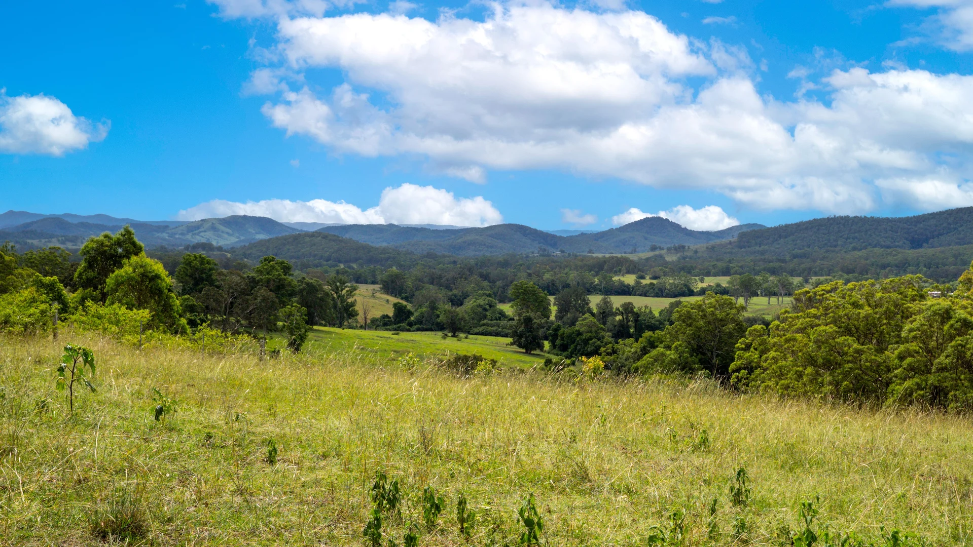 Additional image 23 of 198 Bow Hill Road, Dollys Flat NSW 2429
