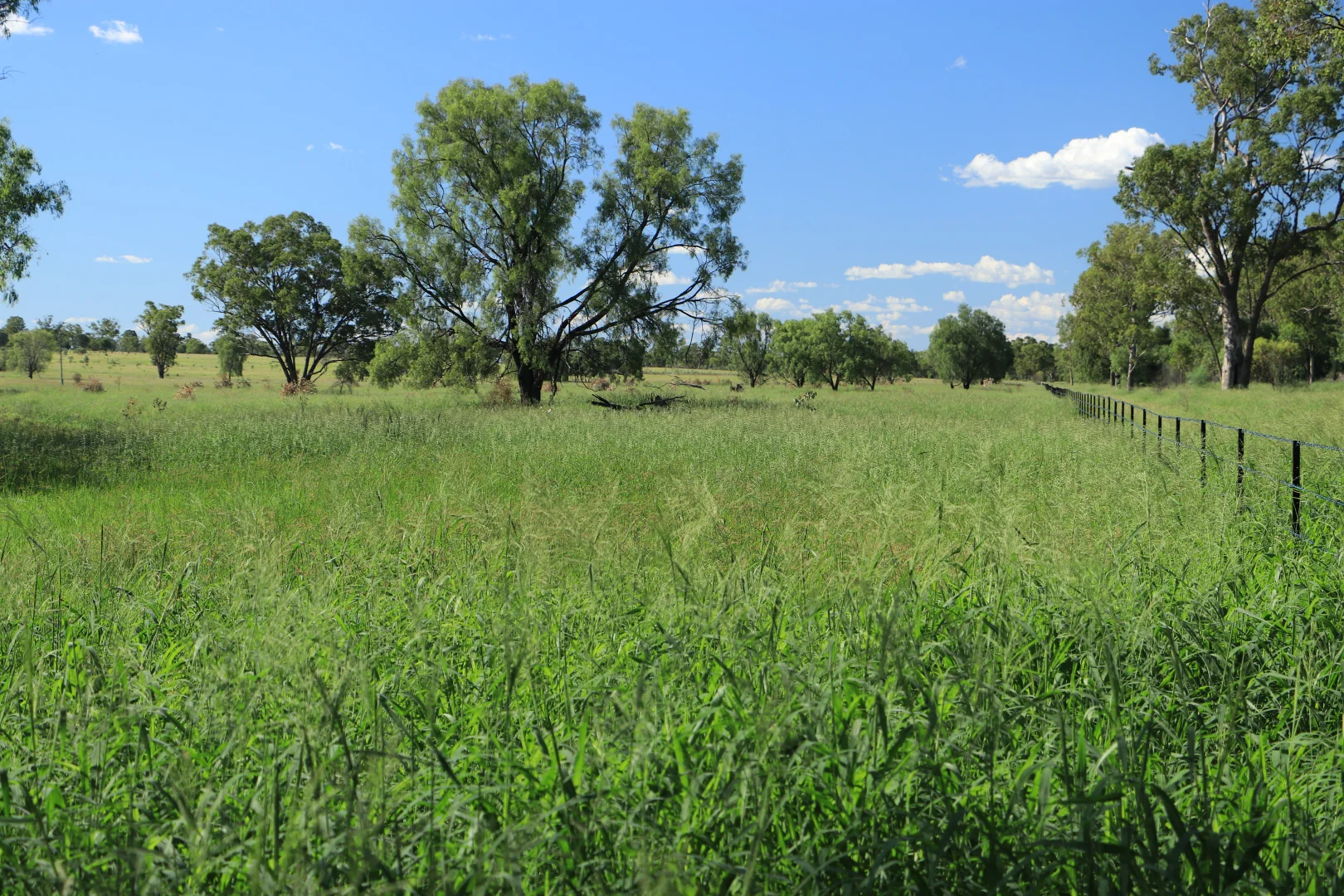 Additional image 6 of 888 Dargal Road, Roma QLD 4455