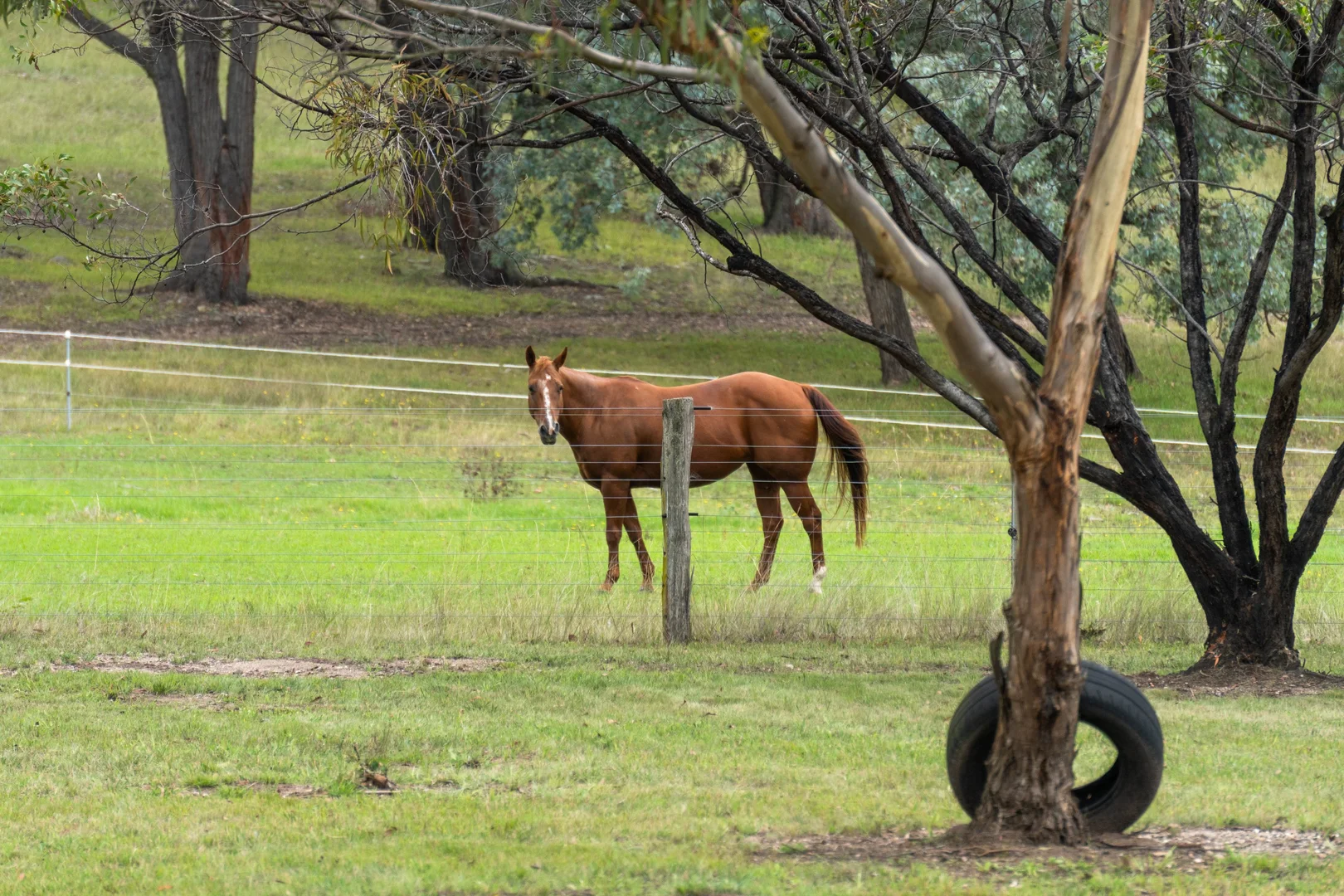 Additional image 31 of 20 Clynes Road, Tinamba West VIC 3859