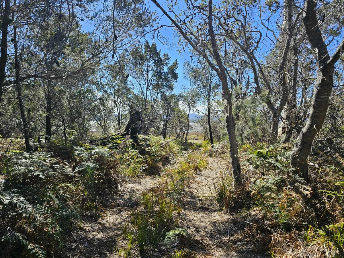 Additional image 14 of 1434 Coles Bay Road, Coles Bay TAS 7215