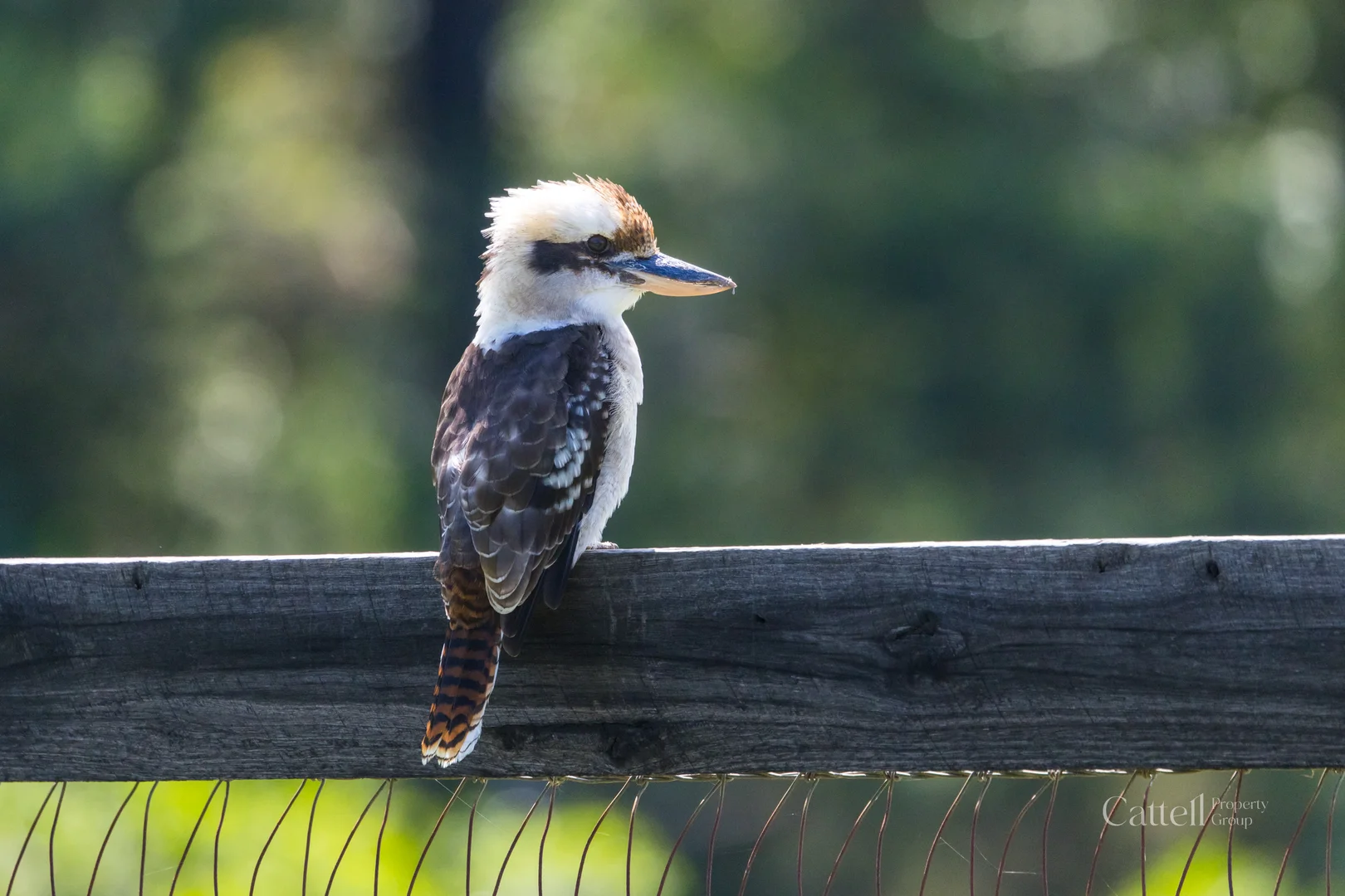 Additional image 21 of 30 Parishs Road, Hilldale NSW 2420