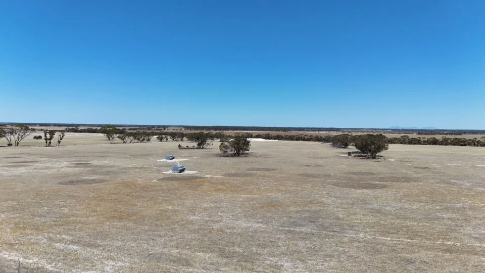 Additional image 3 of 3000 Rabbit Proof Fence Rd, Pingrup WA 6343