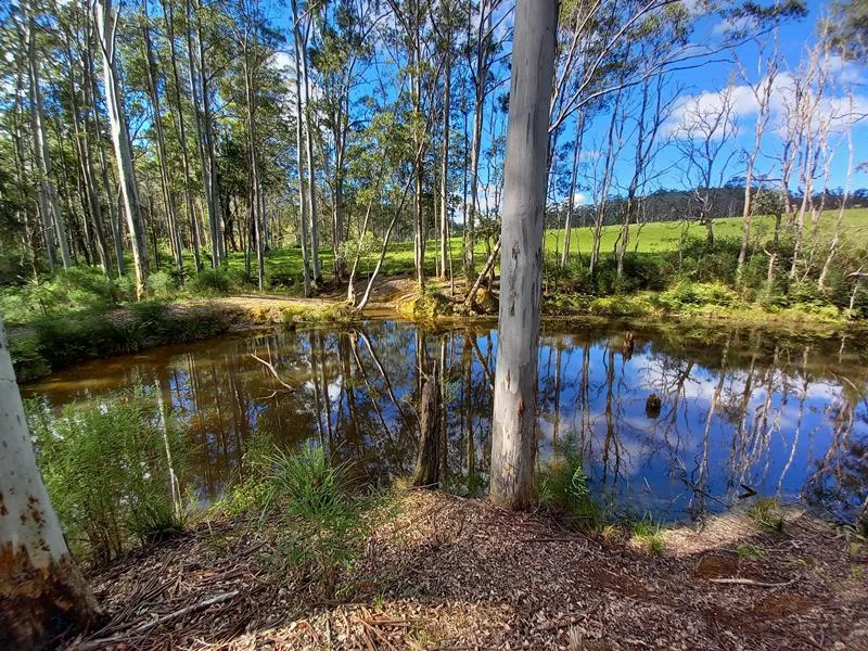 Additional image 20 of Dorrigo NSW 2453