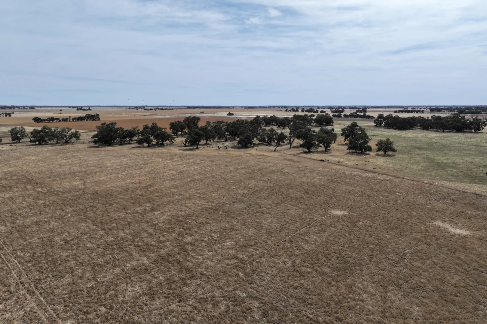 Additional image 12 of 1800 Mt Terrick Road, Roslynmead VIC 3564