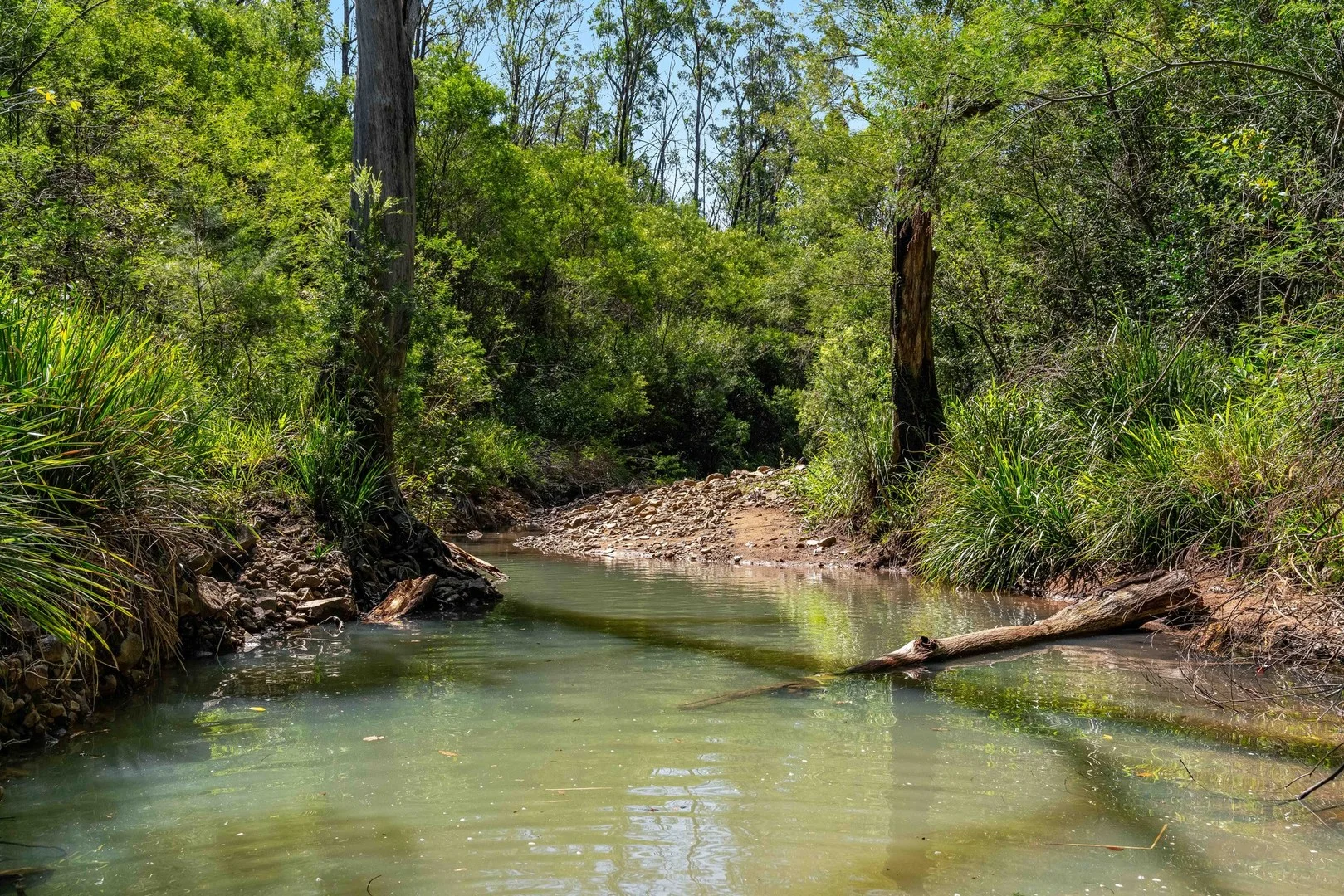 284 Peckhams Road, Ewingar NSW 2469