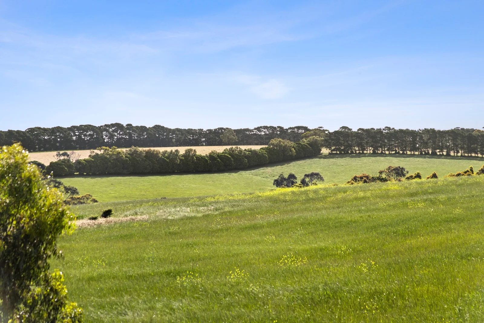 Additional image 4 of 1 Layback Street, Torquay VIC 3228