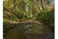 Additional image 53 of 15765 Kings Creek Rd, Boulder Creek, CA, 95006