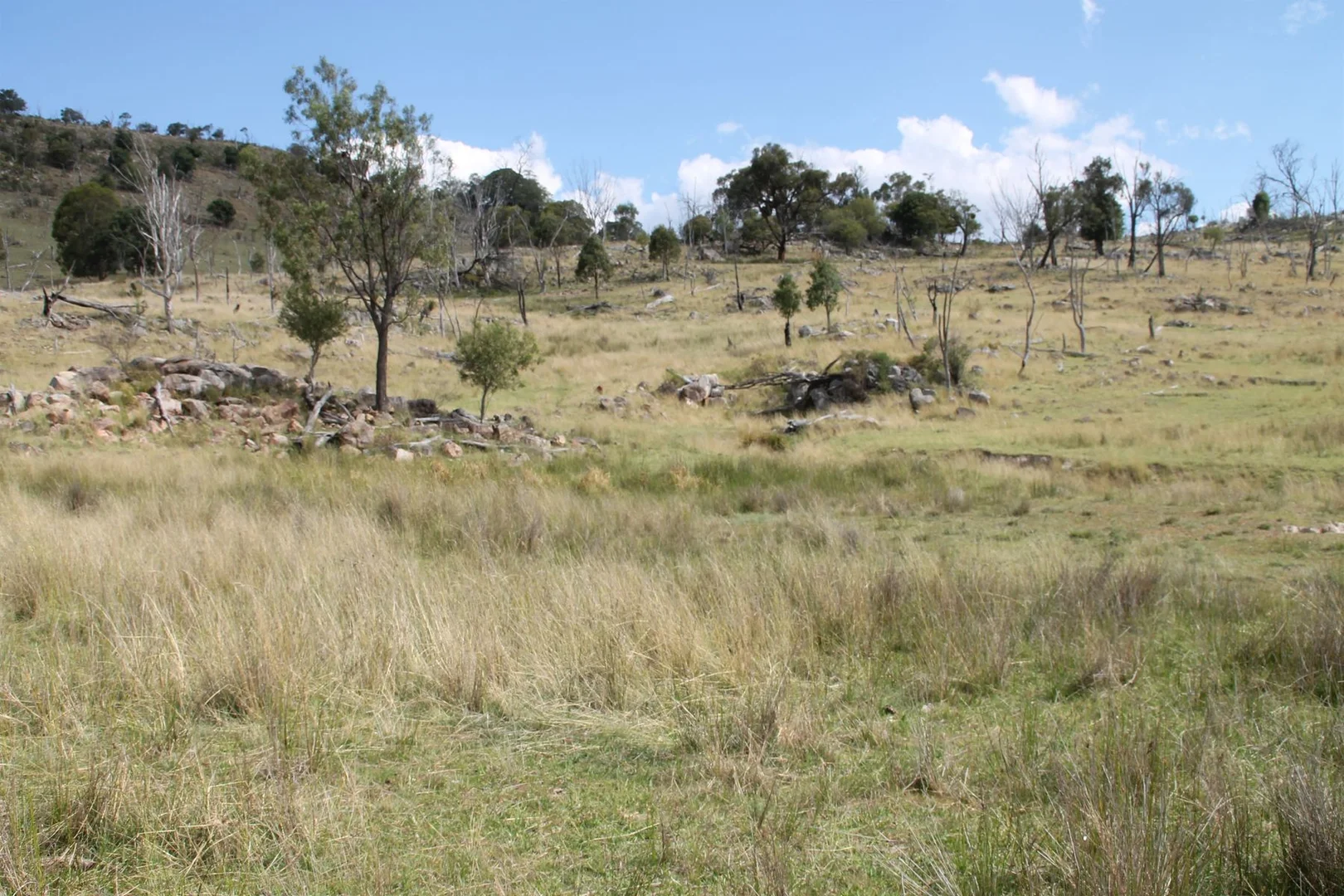 Additional image 9 of Lot 158 Woodside Road, Tenterfield NSW 2372