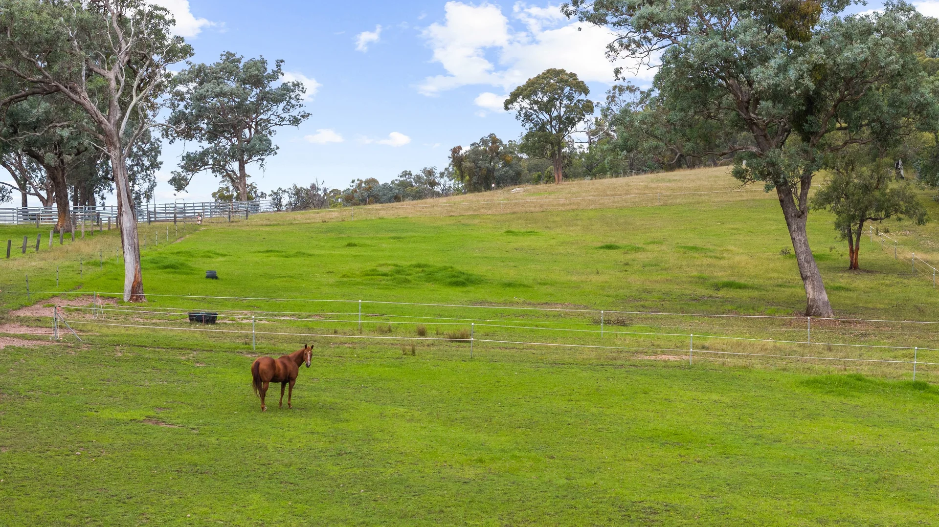 Additional image 29 of 20 Clynes Road, Tinamba West VIC 3859