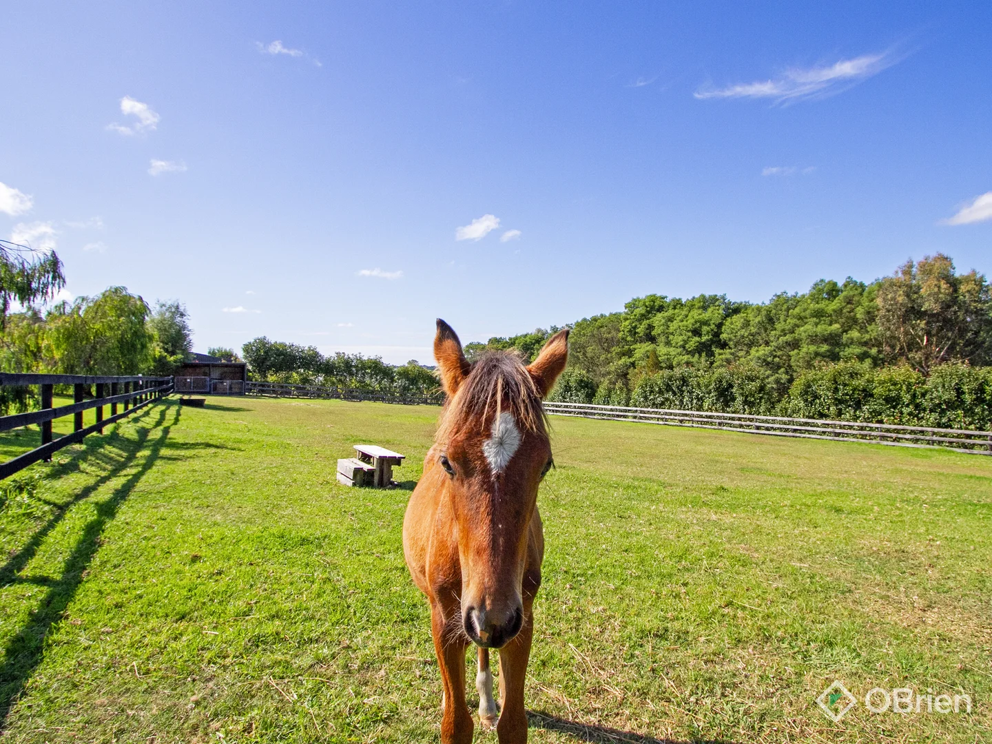 Additional image 10 of 110 Clifton West Road, Wy Yung VIC 3875