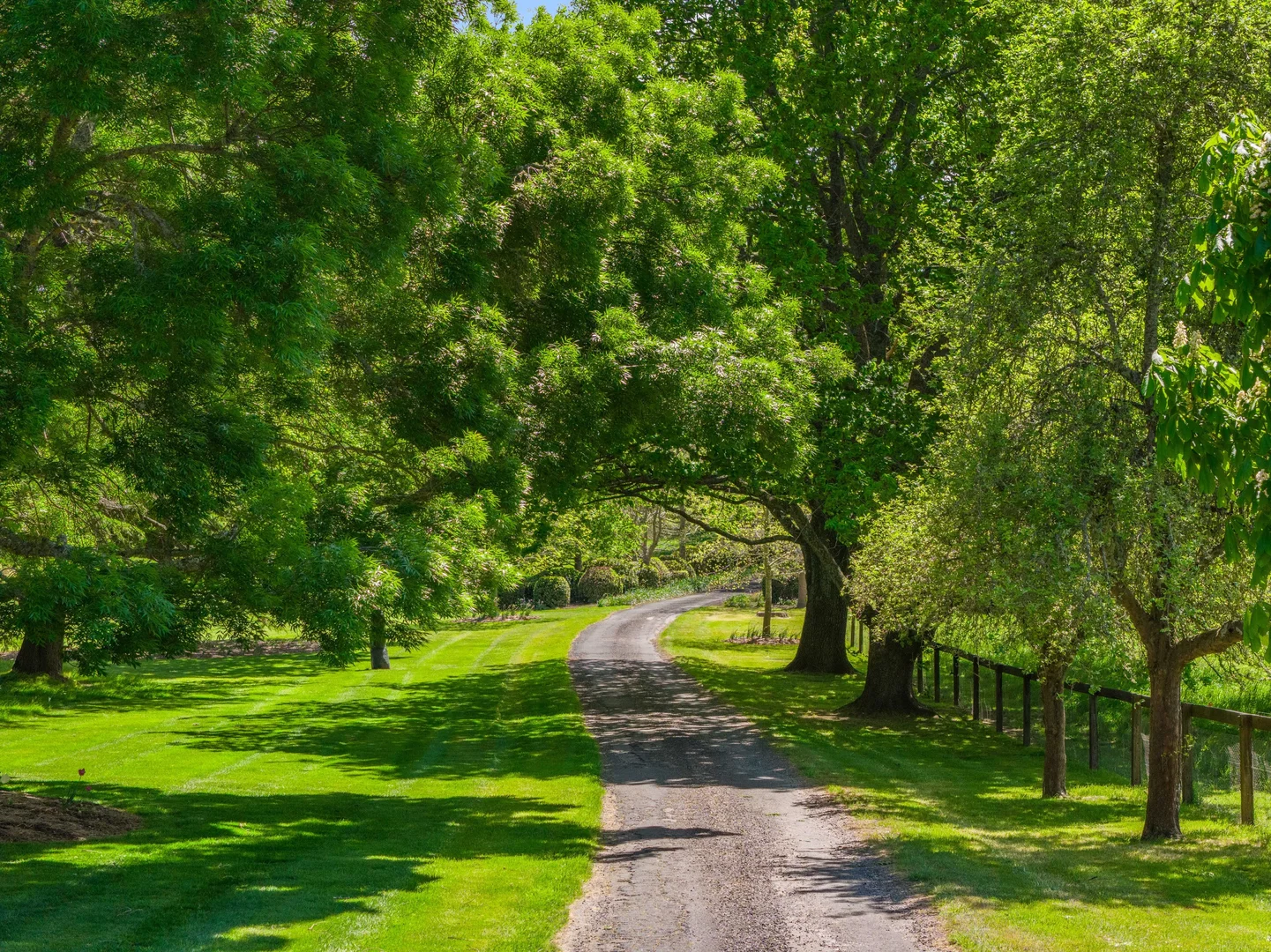 Additional image 5 of 7361 Illawarra Highway, Sutton Forest NSW 2577