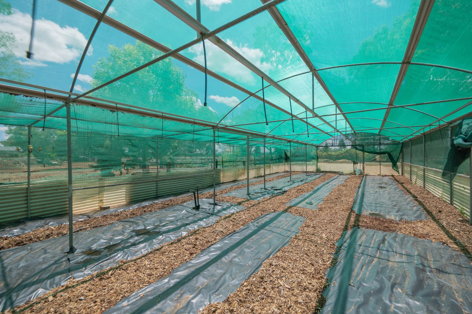 Additional image 40 of 2 Kelly Road, Parkes NSW 2870