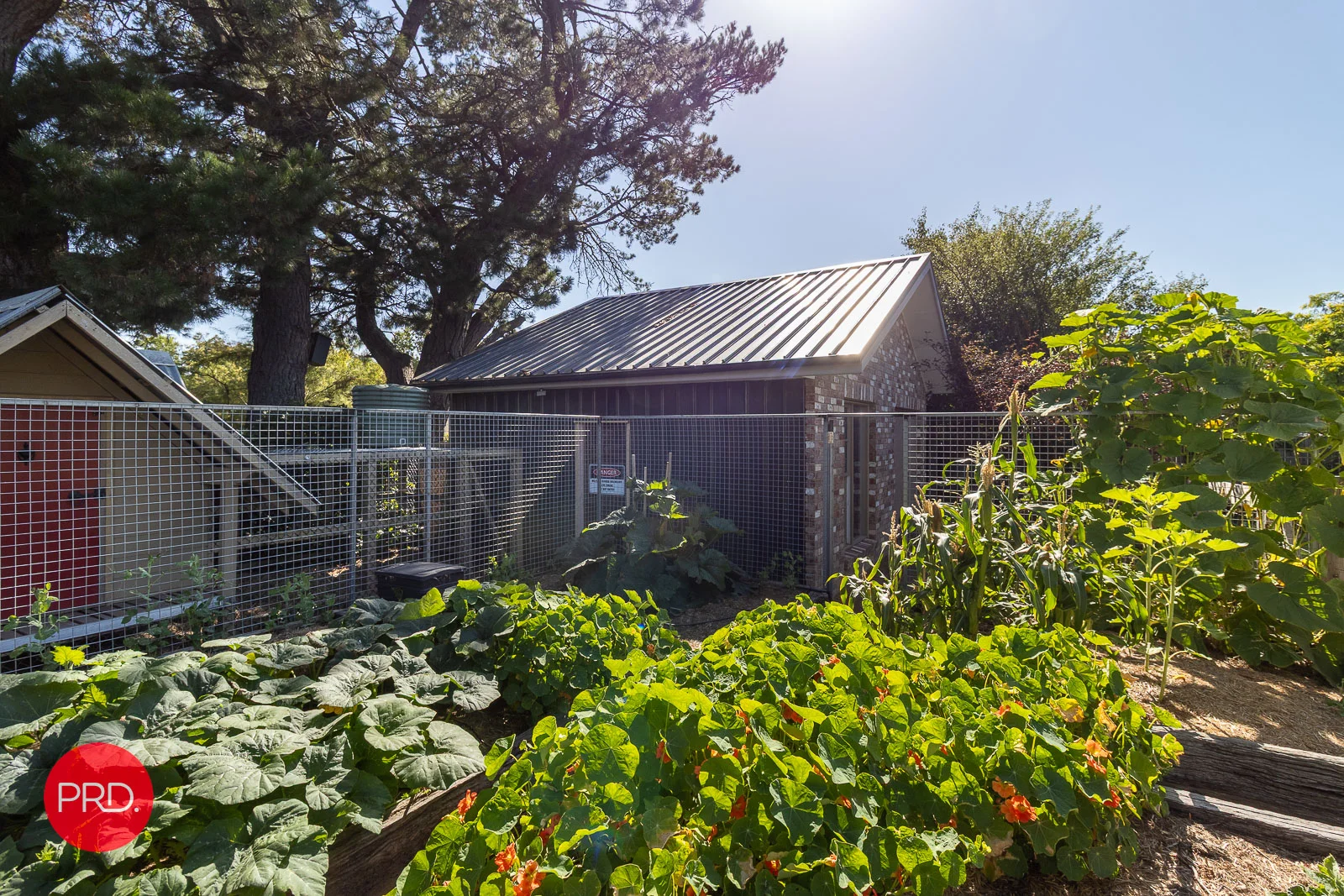 Additional image 19 of 62 Duralla Street, Bungendore NSW 2621