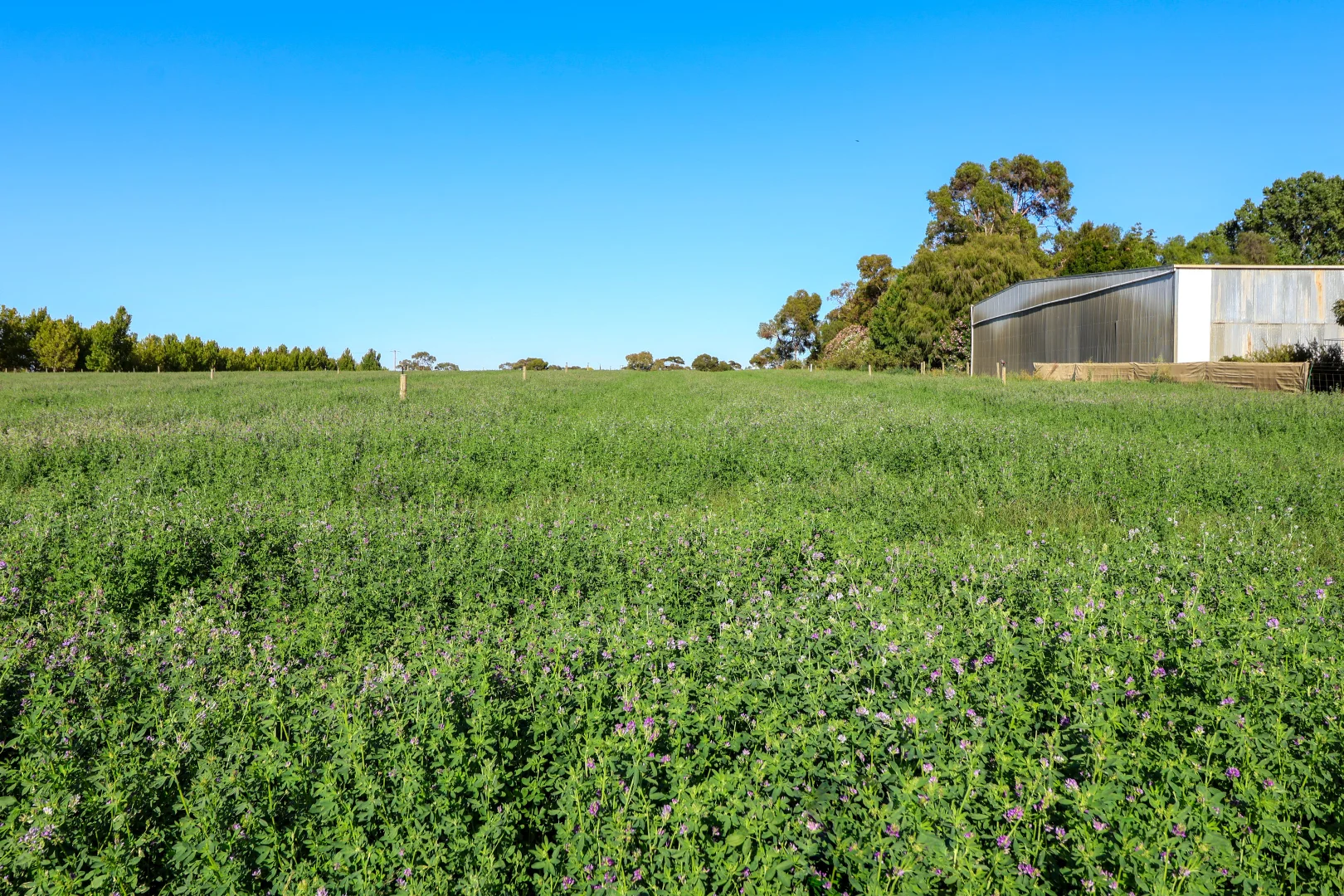 Additional image 14 of 81 Back Boga Road, Swan Hill VIC 3585