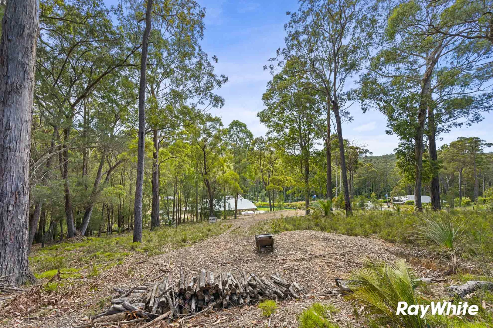 Additional image 4 of Lot 5 Sanctuary Forest Place, Long Beach NSW 2536