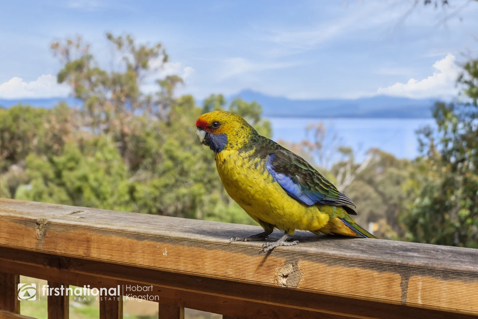 Additional image 9 of 52 Ritchie Street, Alonnah TAS 7150