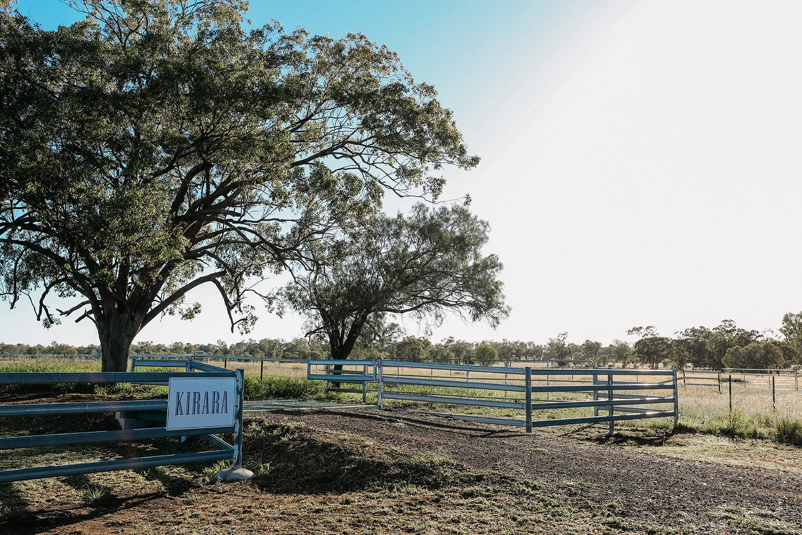 Additional image 3 of 888 Dargal Road, Roma QLD 4455