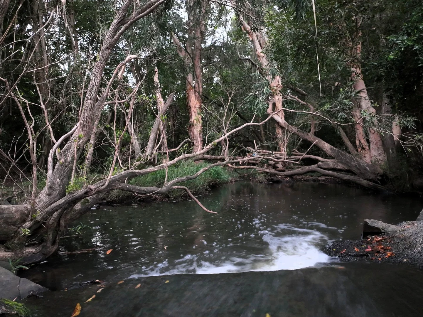 Additional image 16 of Sutherlands Road, Pindi Pindi QLD 4798