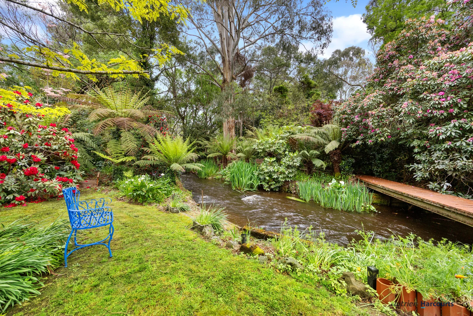 Additional image 20 of 47 Mareeba Avenue, Buxton VIC 3711