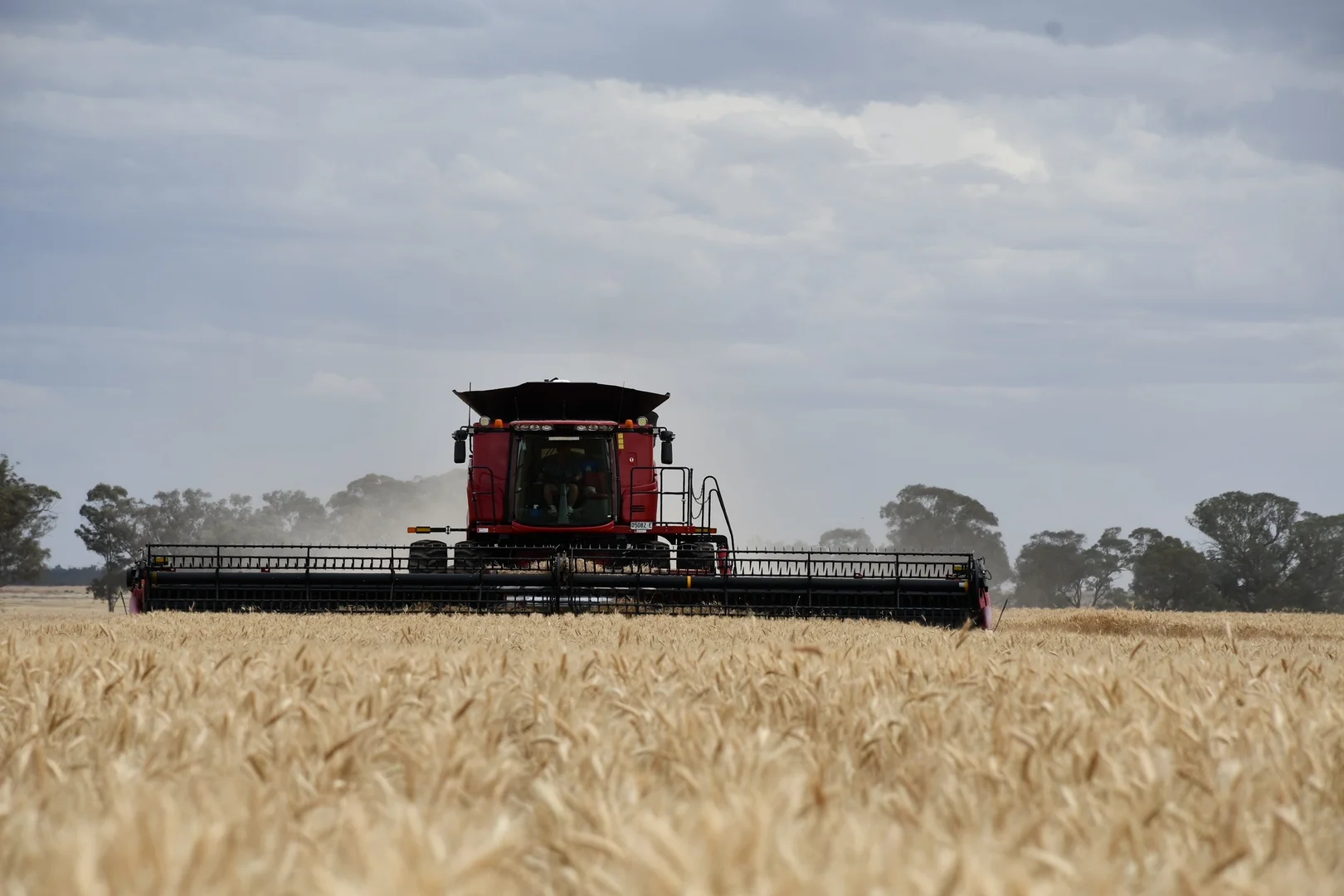 Additional image 7 of 179 Mittons Lane 'Lorna Doone', Pinnacle NSW 2810