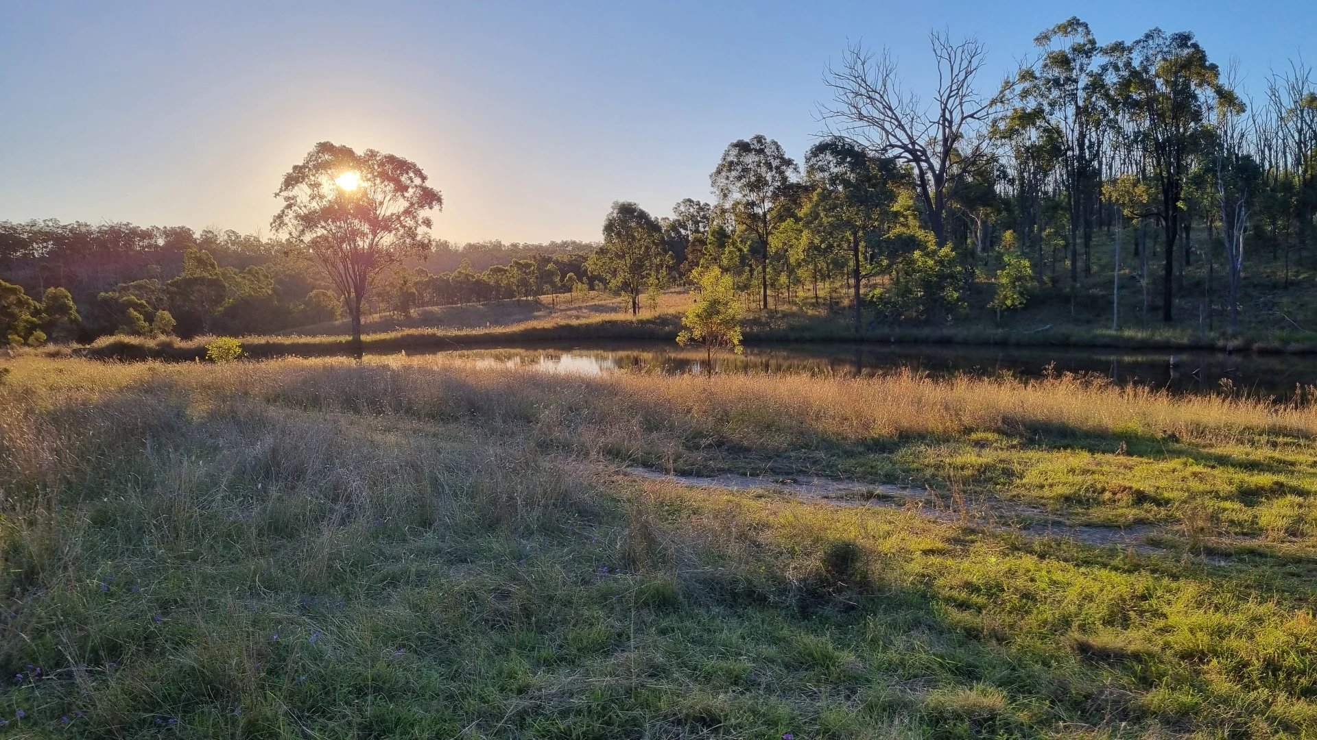 Additional image 7 of 0 Hazeldene Road, Thane QLD 4370