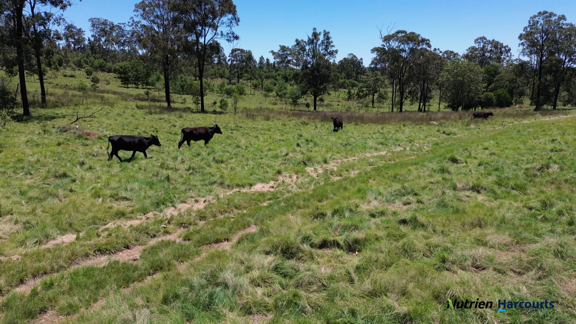 Additional image 15 of 960 Dangore Mountain Road, Dangore QLD 4610