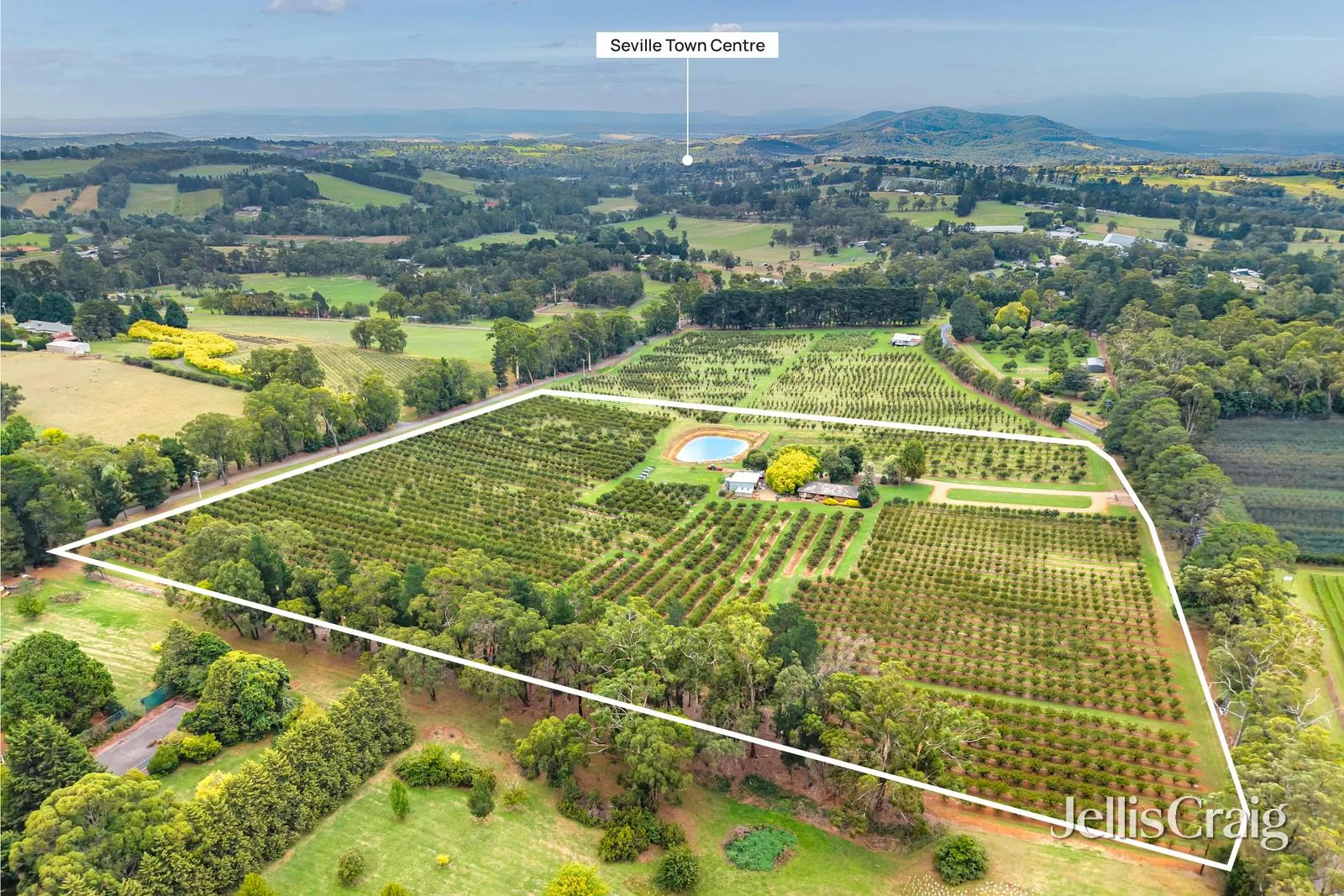 Additional image 8 of 56 Monbulk-Seville Road, Seville VIC 3139