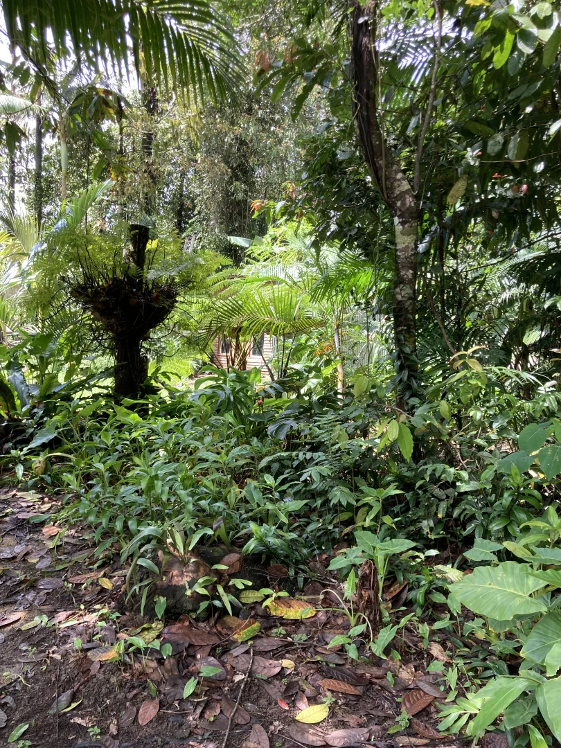 Additional image 12 of Eungella QLD 4757