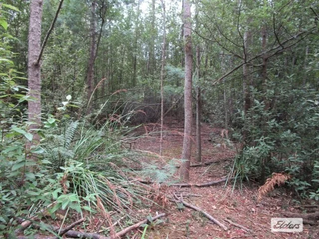 Additional image 10 of Lot 3 Jordans Road, North Motton TAS 7315