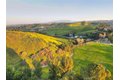 Additional image 63 of 2481 Hawkwood Dr, Chino Hills, CA, 91709