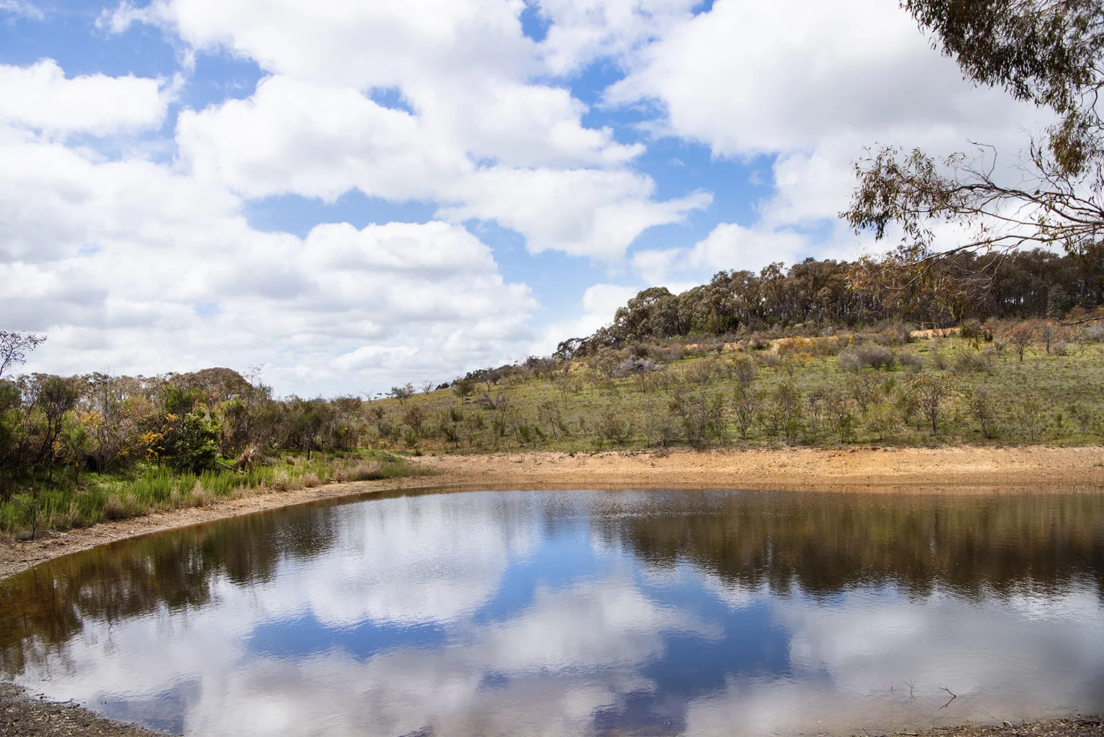 Additional image 4 of 3 Mandurang South Road, Mandurang South VIC 3551