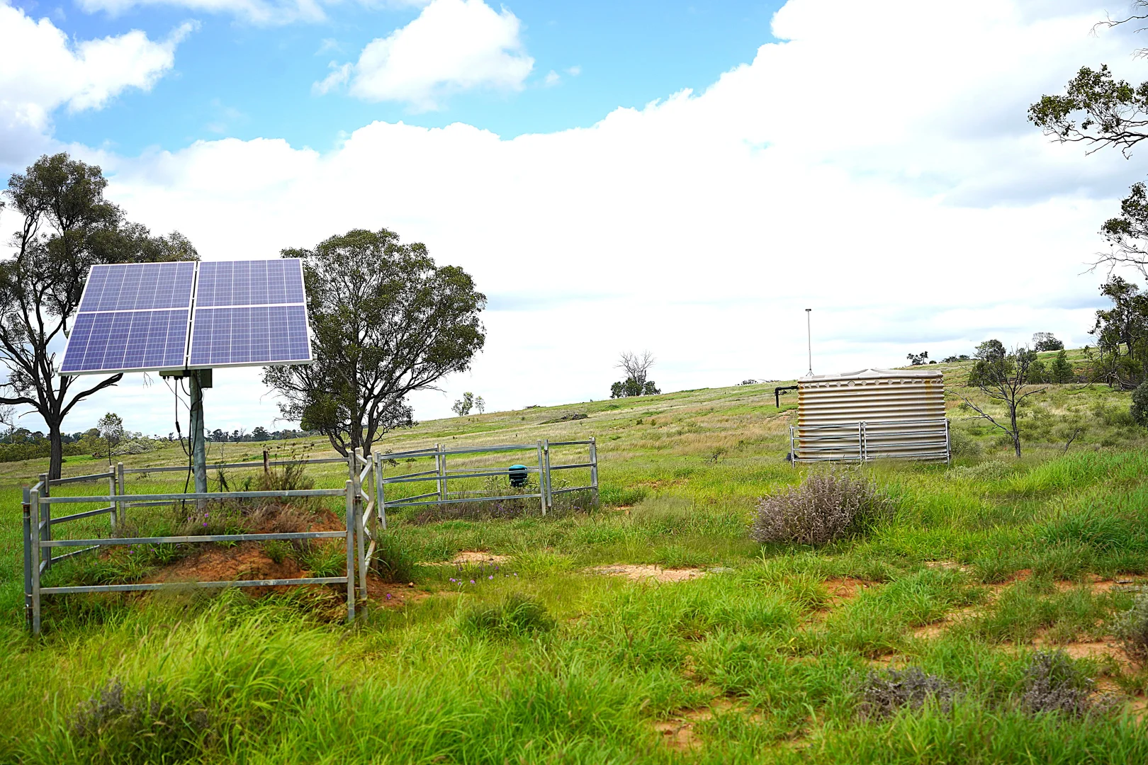 Additional image 11 of Billabong, Orallo Road, Roma QLD 4455