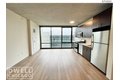 Additional image 47 of 51 E 14th St Unit 1-910, Chicago, IL, 60605