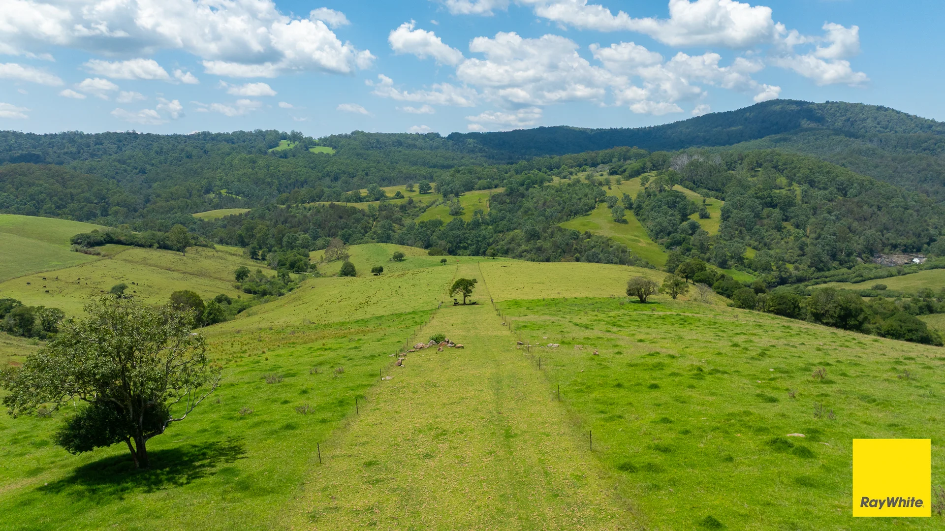 Additional image 10 of 262 Snows Road, Dorrigo NSW 2453