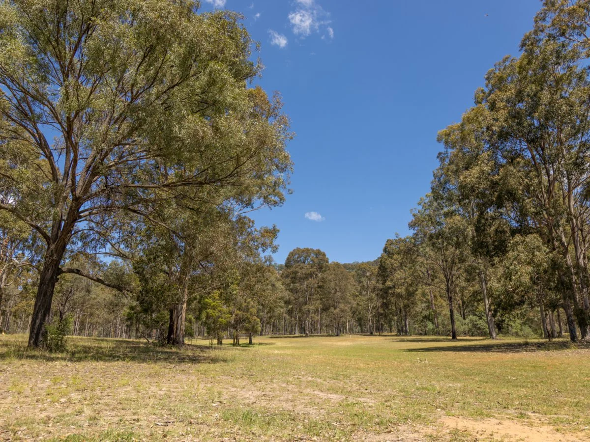 98A Wollemi Peak Road, Bulga NSW 2330