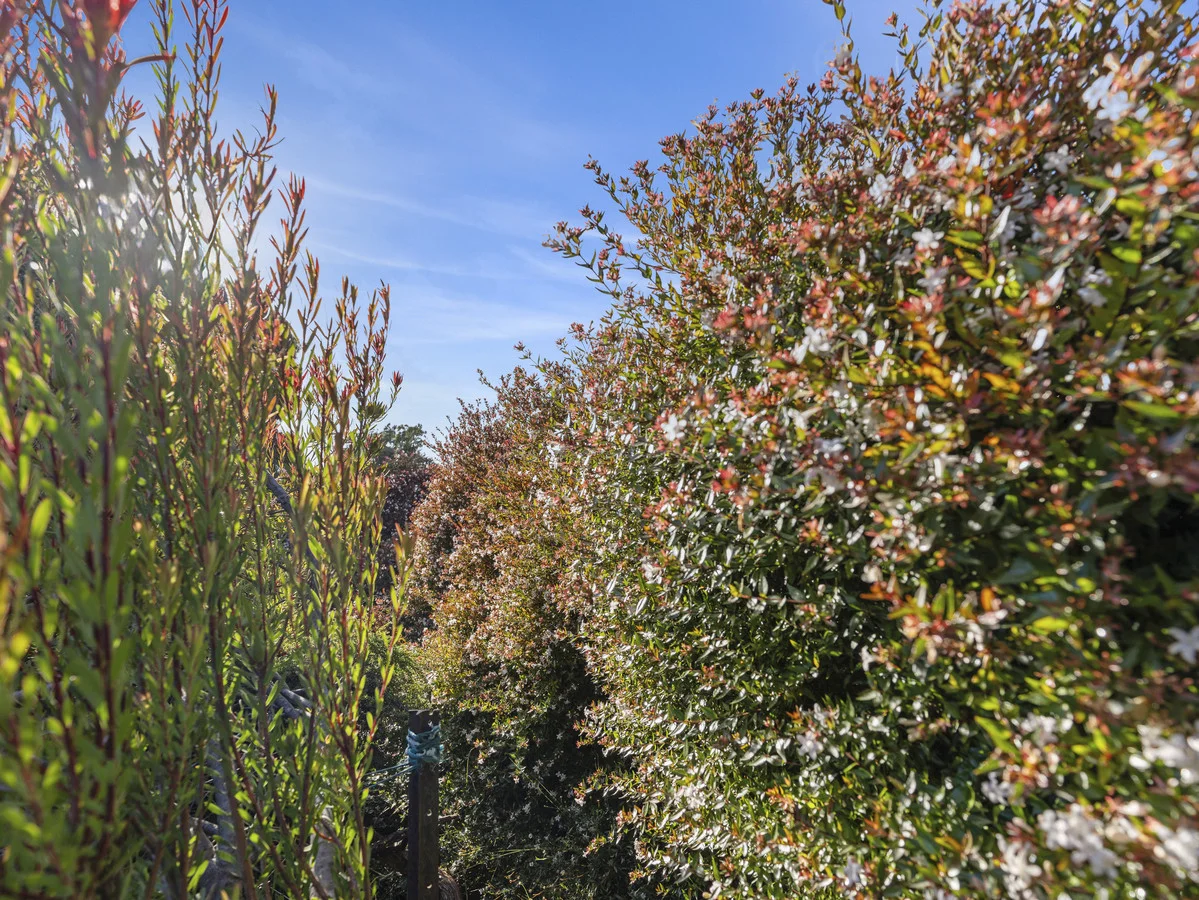 Additional image 17 of 351 Sheffield Road, Acacia Hills TAS 7306