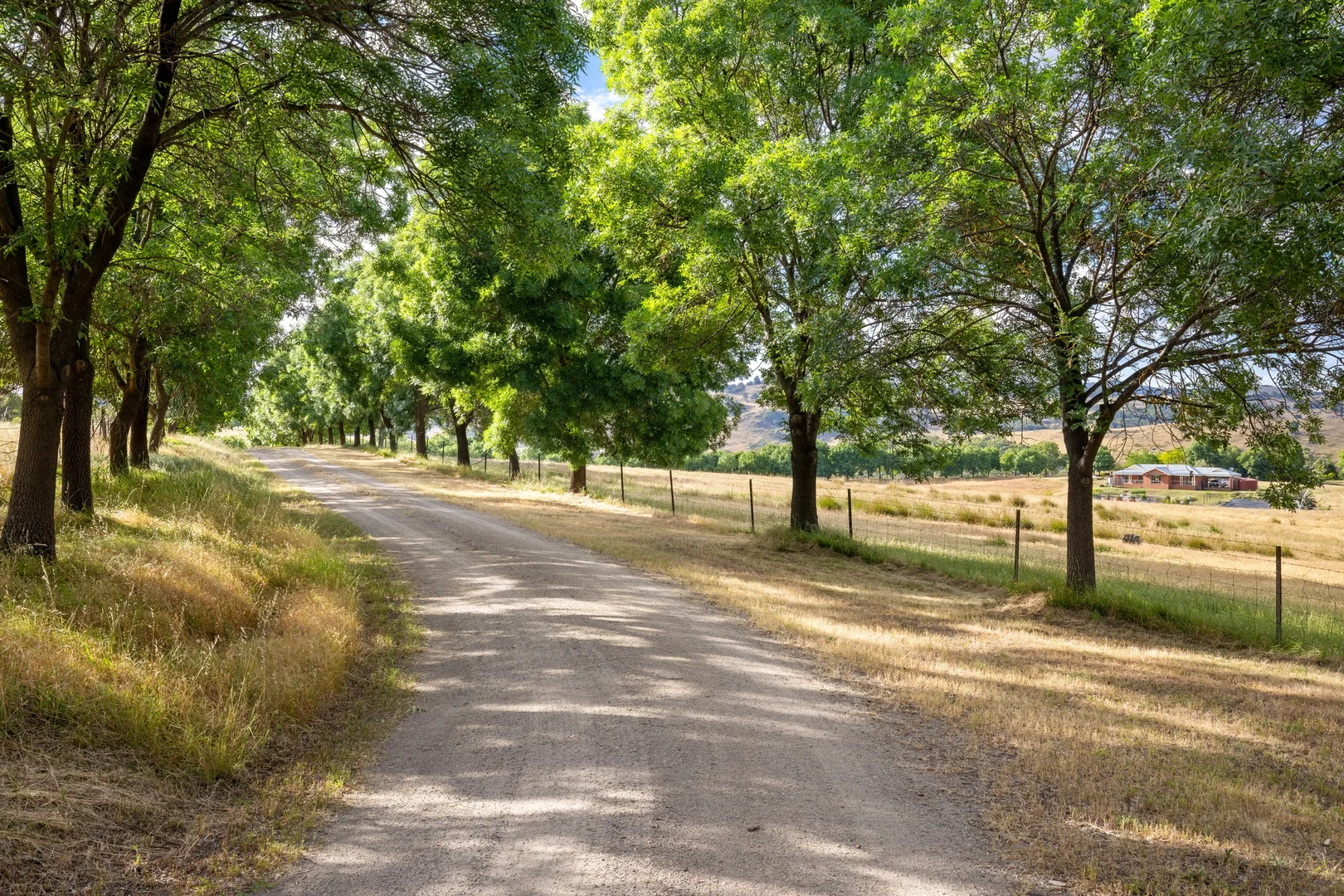 Additional image 28 of 103 Spring Gully Road, Huon Creek VIC 3691