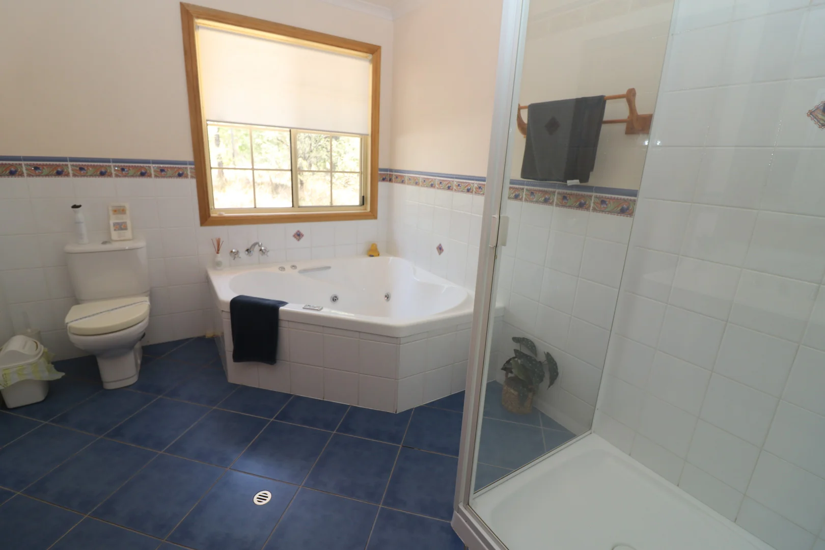 Additional image 21 of 157 Sundown Road, Ballandean QLD 4382