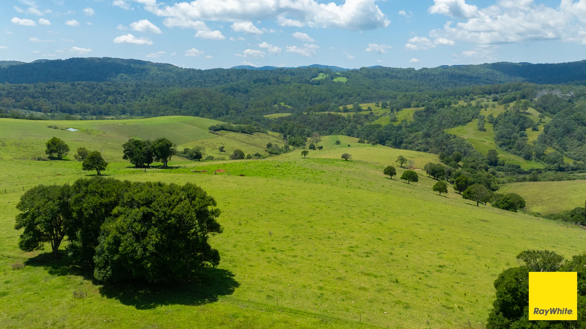 Additional image 5 of 262 Snows Road, Dorrigo NSW 2453