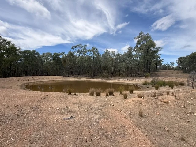 Additional image 15 of 566 Waverley Lane, Silver Spur QLD 4385